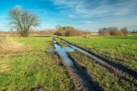 在一条泥泞的乡村道路上穿过一片绿色草地的水，波兰诺维尼