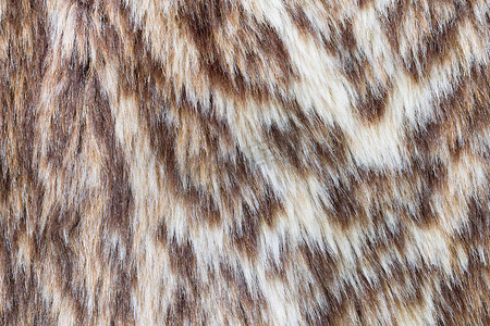 豹纹或野猫皮毛背景