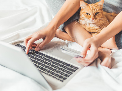 可爱的姜猫和女人躺在床上用笔记本电脑。