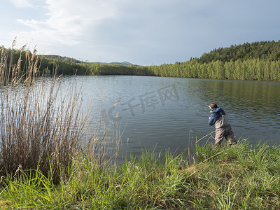 飞鱼钓鱼者站在森林湖平静的水岸上，鱼塘 Kunraticky rybnik 沿岸生长着白桦树和云杉树。