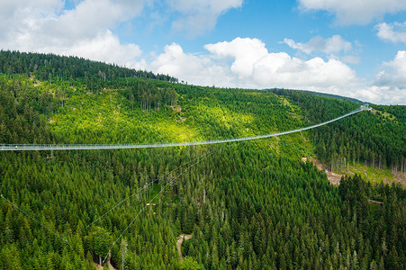 陪伴是最长情的高摄影照片_Sky Bridge 721是森林中两座山之间最长的吊桥