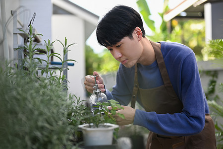 纯净水摄影照片_年轻的亚洲男子照顾植物，用喷雾瓶里的纯净水喷洒植物。
