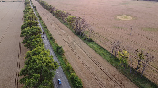 高速公路、汽车和树木在播种区和成熟小麦区之间