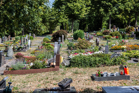 墓地里的墓地，有墓碑和插花
