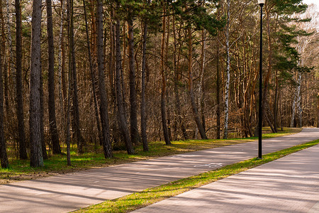 骑自行车者和步行者路线区域共享标志在公共公园。