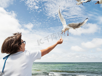 女人喂海鸥。