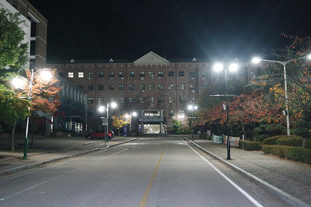 夜景树木摄影照片_铺砌的人行道或两侧有树木的步行道的夜景