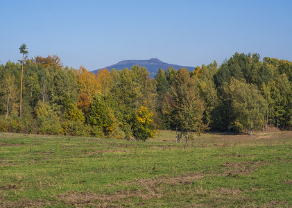 草甸与秋天五颜六色的森林和树木和山丘与瞭望塔和蓝天景观在 luzicke hory 山。