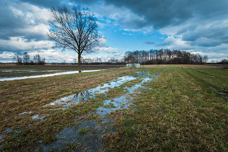暴雨过后摄影照片_暴雨过后草地上有树的水