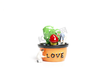 土味儿情话摄影照片_画家用情话给豆荚里的植物上色，情人节