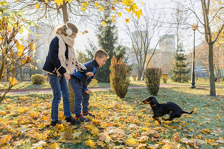 在阳光明媚的秋季公园里和腊肠狗玩耍的儿童男孩和女孩