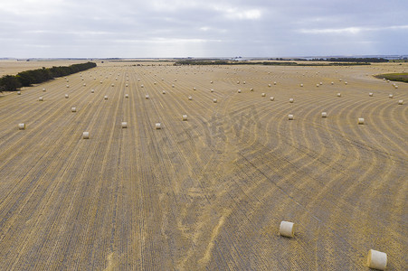 澳大利亚地区农田卷干草捆的鸟瞰图