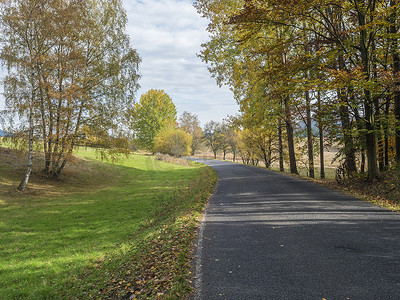 秋天，柏油路蜿蜒穿过五颜六色的落叶林，橡树、枫树和白桦树的落叶，逐渐消失的视角，蓝天白云