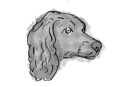 博伊金猎犬狗品种卡通复古绘图