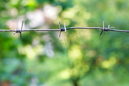 花园的栅栏背景摄影照片_夏季花园浅绿色模糊背景上的金属铁丝网。