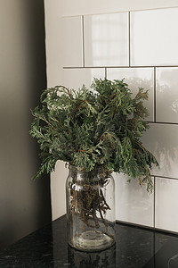 秋天花瓶摄影照片_杜松的绿色分支在厨房的玻璃花瓶里。