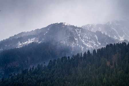 喜马偕尔邦马纳利的雾气滚过前景树木覆盖的山脉和背景白雪皑皑的山峰