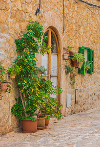 文化墙村摄影照片_西班牙马略卡岛 Valldemossa 村典型植物装饰