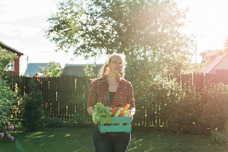 女农民携带一盒采摘的蔬菜复制空间 — 花园和收获农产品用于网上销售。