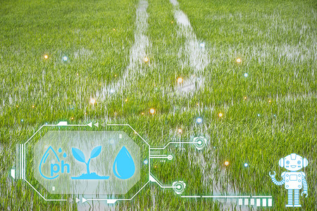传感器摄影照片_智能农场，浇灌自然稻田稻田