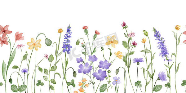 水彩花卉无缝图案与野花、植物、树叶和草药。