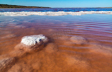高盐度 Kuyalnitsky 河口覆盖着自沉积盐的沿海石头，这是一场生态灾难。