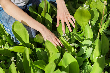 绿色的春天背景，女人的手与花园里的铃兰花
