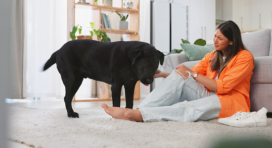 家里有宠物主人的爱、支持和悲伤的女人、悲伤的狗和狗可以放松。