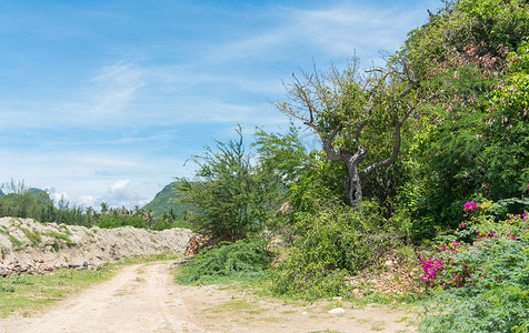 小山绿树，蓝天土墩 BG