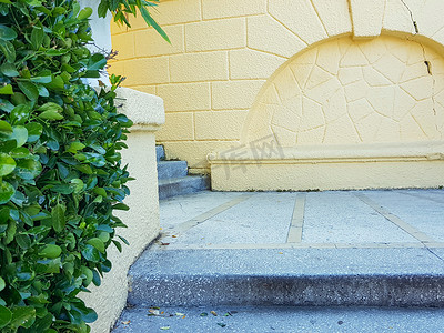绿色植物楼梯平台上墙上漂亮的石拱