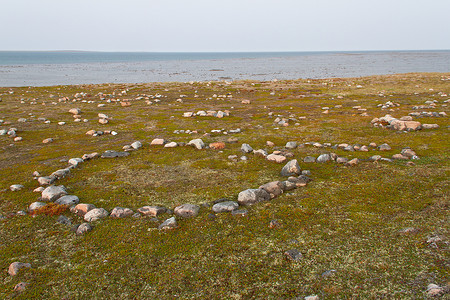 阿尔维亚特以北哈德逊湾沿岸的几个因纽特人帐篷环遗迹，位于一个名为 Qikiqtarjuq 的地方