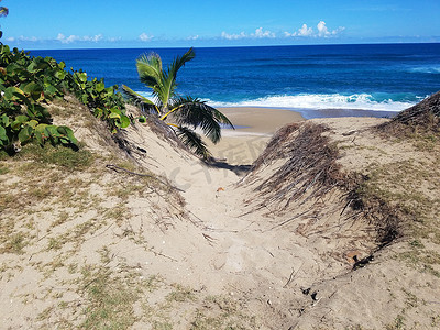 沙滩和海水以及通往波多黎各伊莎贝拉海滩的小径