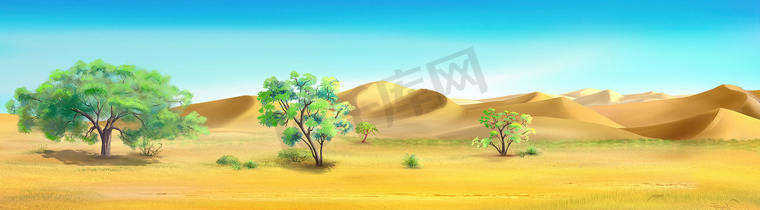 沙漠边缘的树木插画