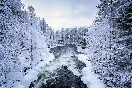 冻脚摄影照片_芬兰奥兰卡国家公园冬季的河流。