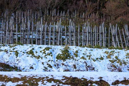 削尖的木桩在白雪皑皑的山坡上形成防御周界