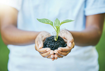 广东志愿摄影照片_地球日的手、植物和生长，园艺、农业或农耕希望的可持续性和志愿服务。