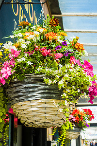 英国绍斯波特勋爵街商店外的彩色花卉展示