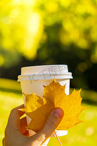 女人拿着生态零浪费白纸杯复制空间模型秋天秋天的枫叶黄叶。