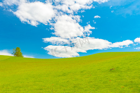 绿色清新草背景摄影照片_绿色清新的春田和蓝天