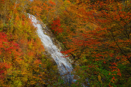 瀑布群摄影照片_Shakunage瀑布和红叶（四万十湖）