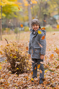 穿着灰色外套和贝雷帽的白人男孩在秋天的森林里。