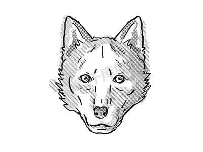 红狼濒危野生动物卡通复古绘图