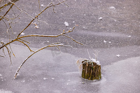 结冰的湖摄影照片_冬天，一个突出的树桩从结冰的湖面的冰盖中突出