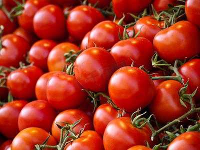 市场求职简历摄影照片_来自以色列的新鲜红色市场西红柿