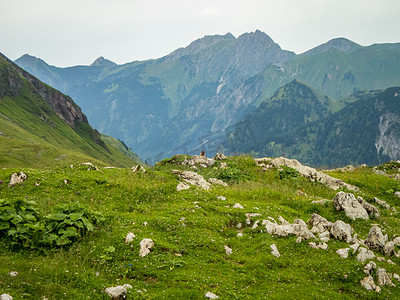 在阿尔高的 Nebelhorn 全景远足