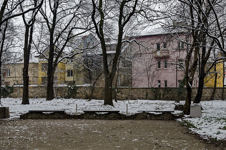 冬天降雪时的花园和街边房子