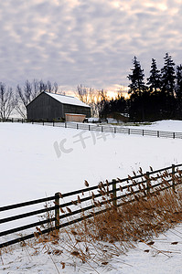 乡村冬季景观