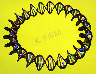 具有螺旋链和碱基对的遗传物质 DNA