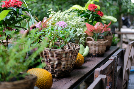 柳条篮中的花卉和植物叶子装饰在阳台上