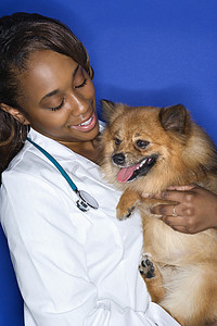 女兽医抱着狗。